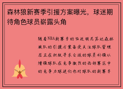 森林狼新赛季引援方案曝光，球迷期待角色球员崭露头角